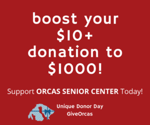 Boost your $10+ donation to $1000 GiveOrcas