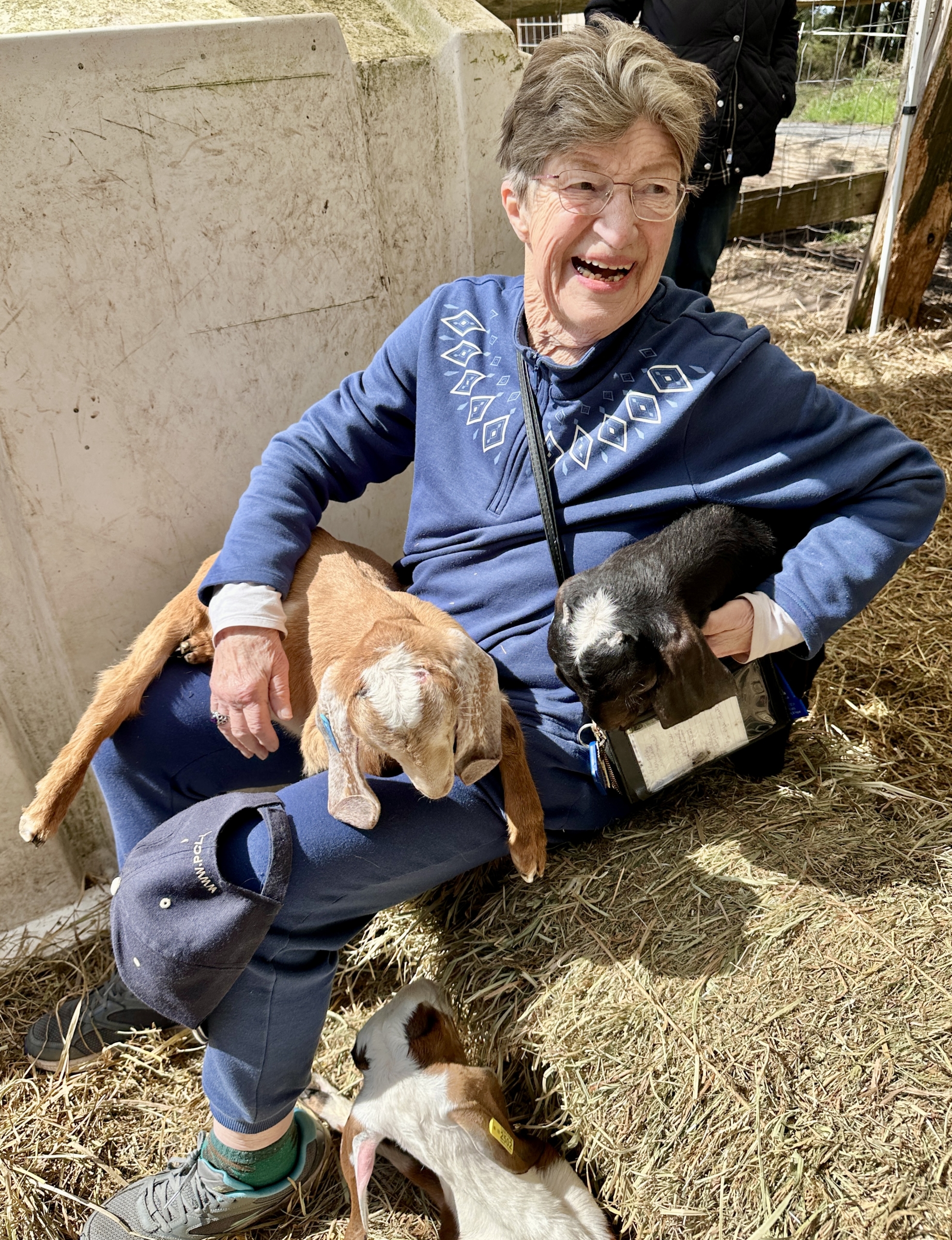A smiling older woman sits in the straw of a sunny barn with two baby goats in her lap and a third goat kid at her feet.